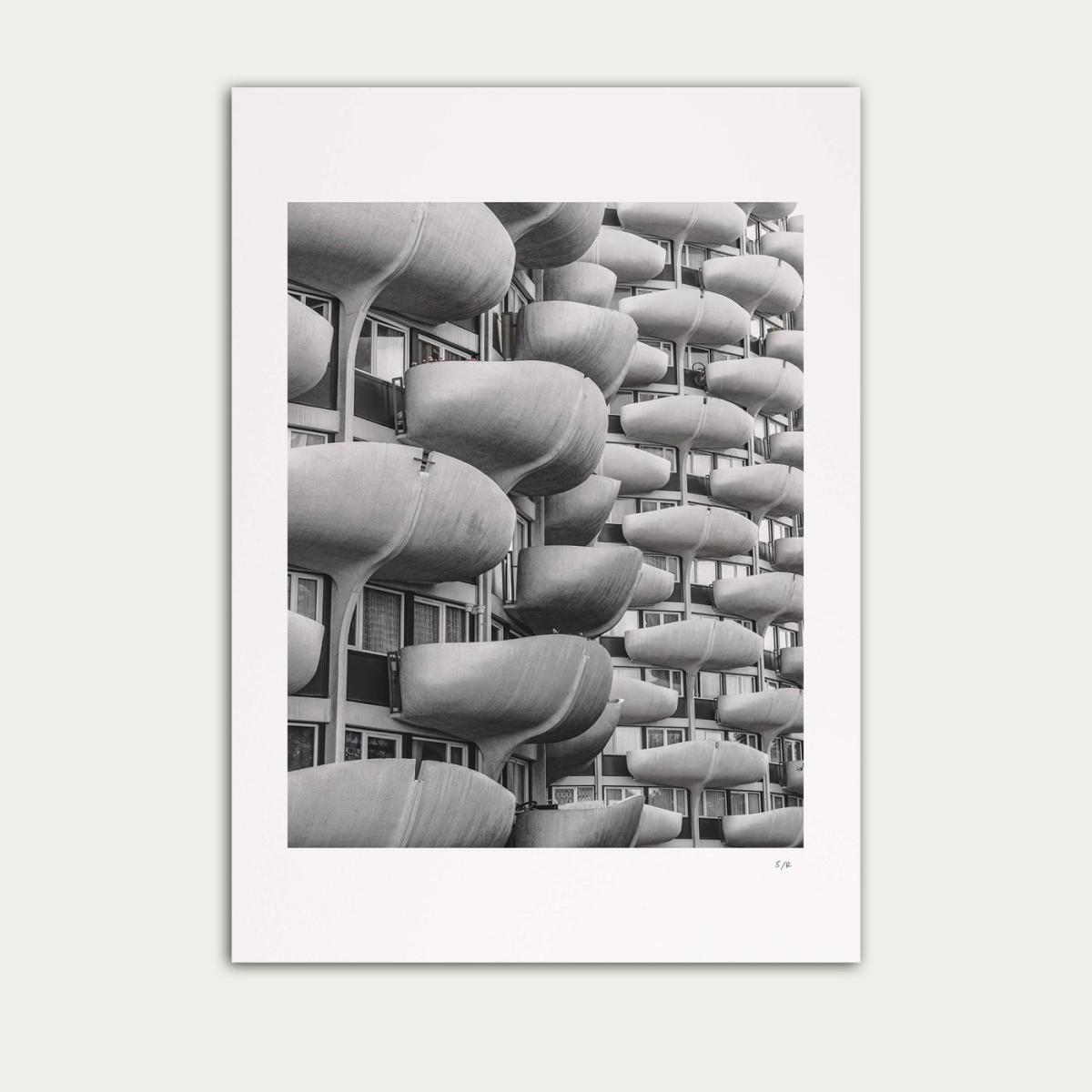 Les choux I by Michal Dec – image 3