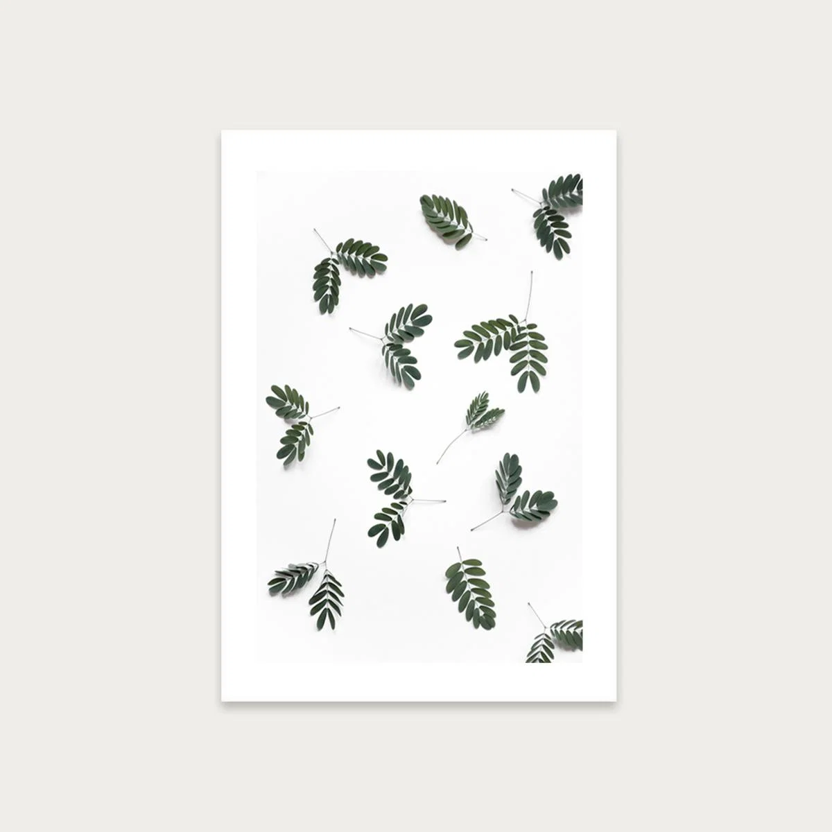 The Beauty of Mother Nature Art Print Unframed