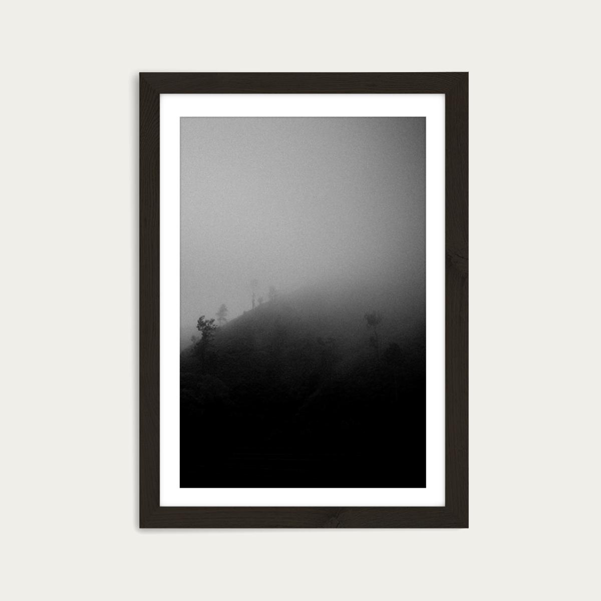 Myst Trees Art Print Black Frame – image 1