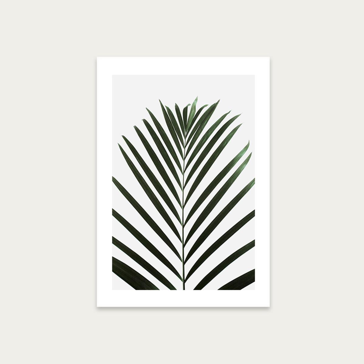 Lush Tropical Palms-Black and White Editions Art Print Unframed