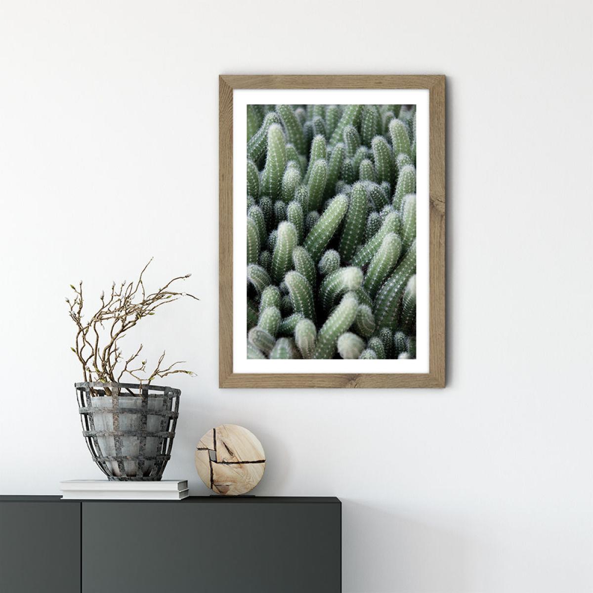 Green Cactus Garden Art Print Oak Frame – image 2