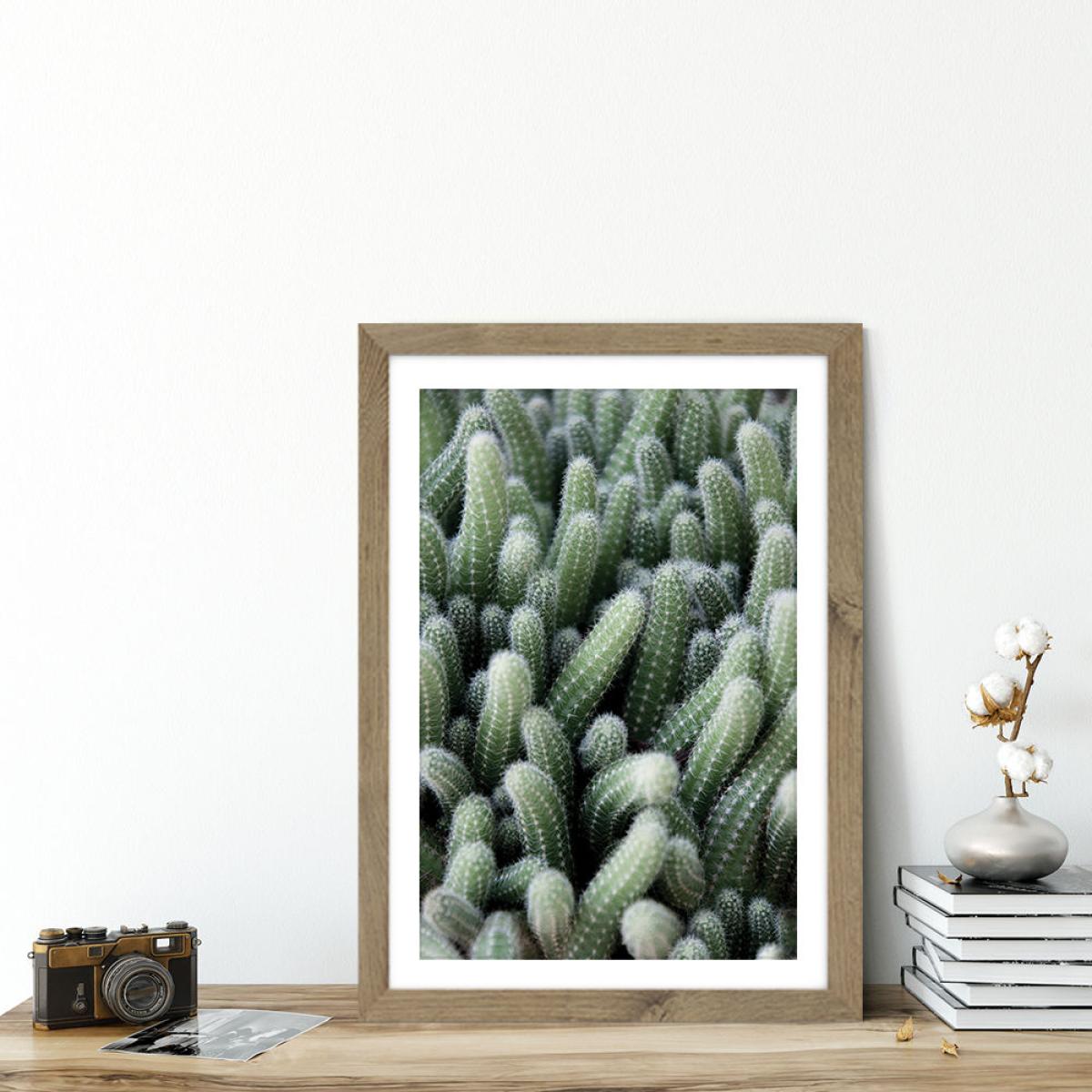Green Cactus Garden Art Print Oak Frame – image 5
