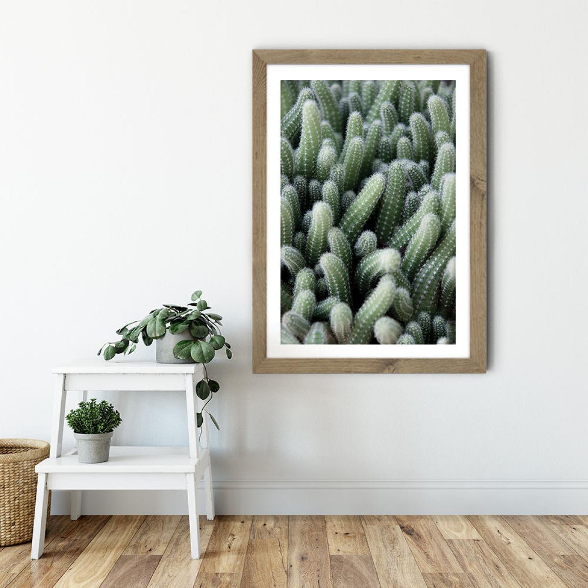Green Cactus Garden Art Print Oak Frame – image 6