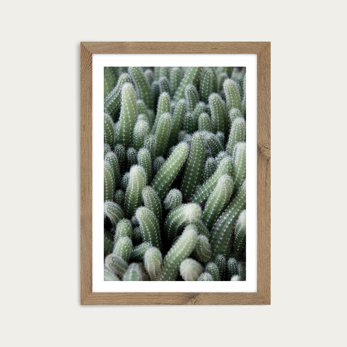 Green Cactus Garden Art Print Oak Frame – image 1