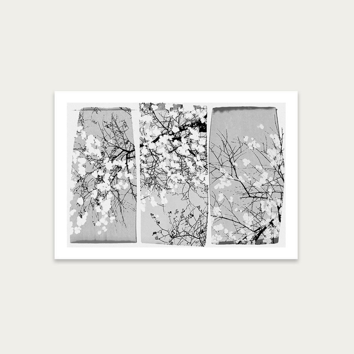 Oriental Blossom Art Print Unframed