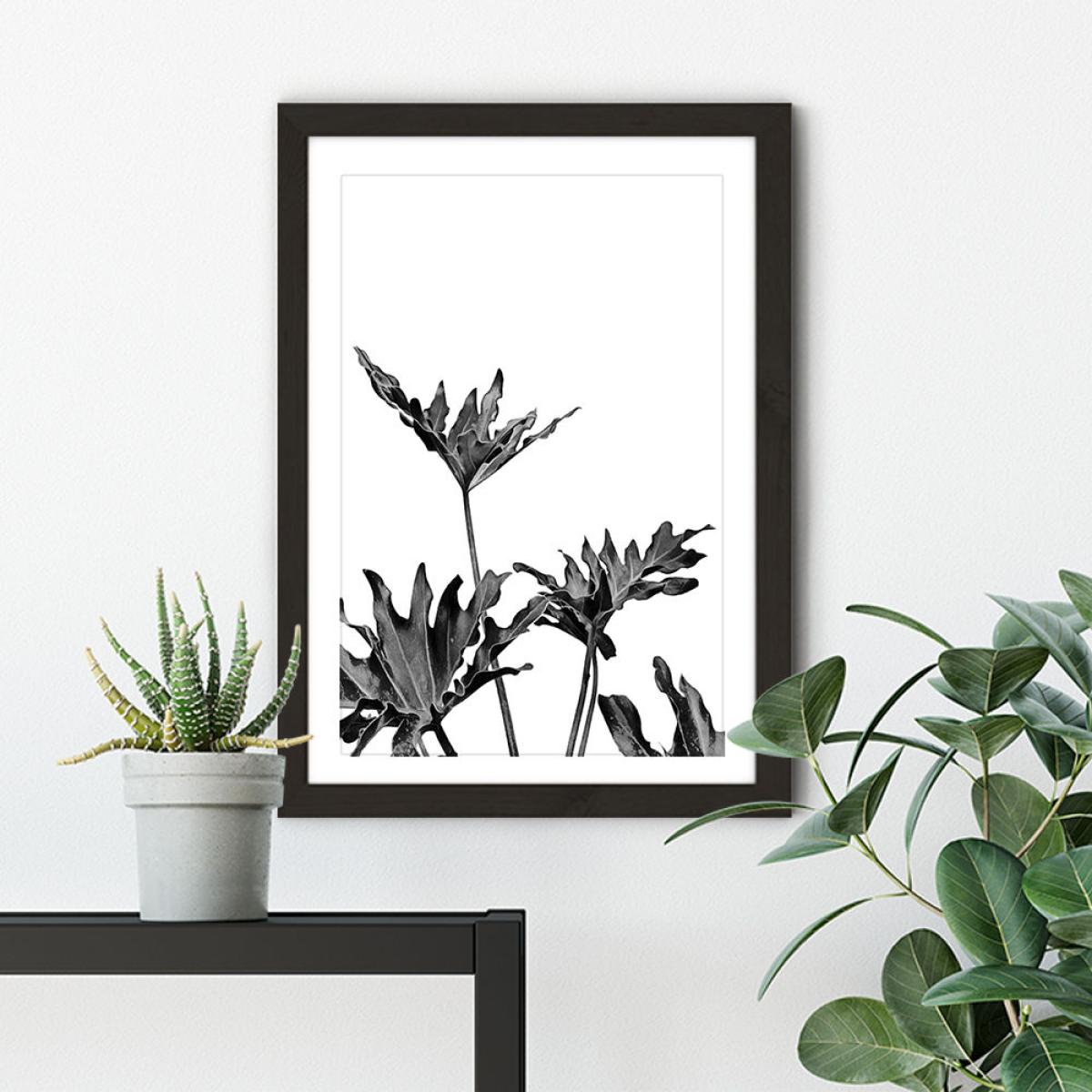 Monstera Black and White 8 Art Print Black Frame – image 6
