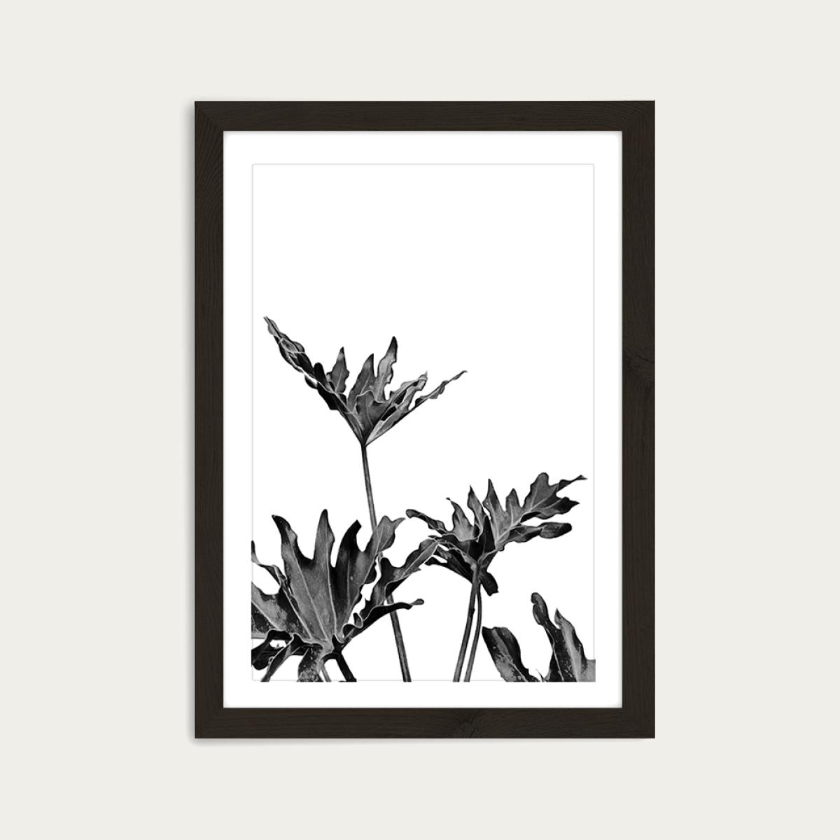 Monstera Black and White 8 Art Print Black Frame – image 1