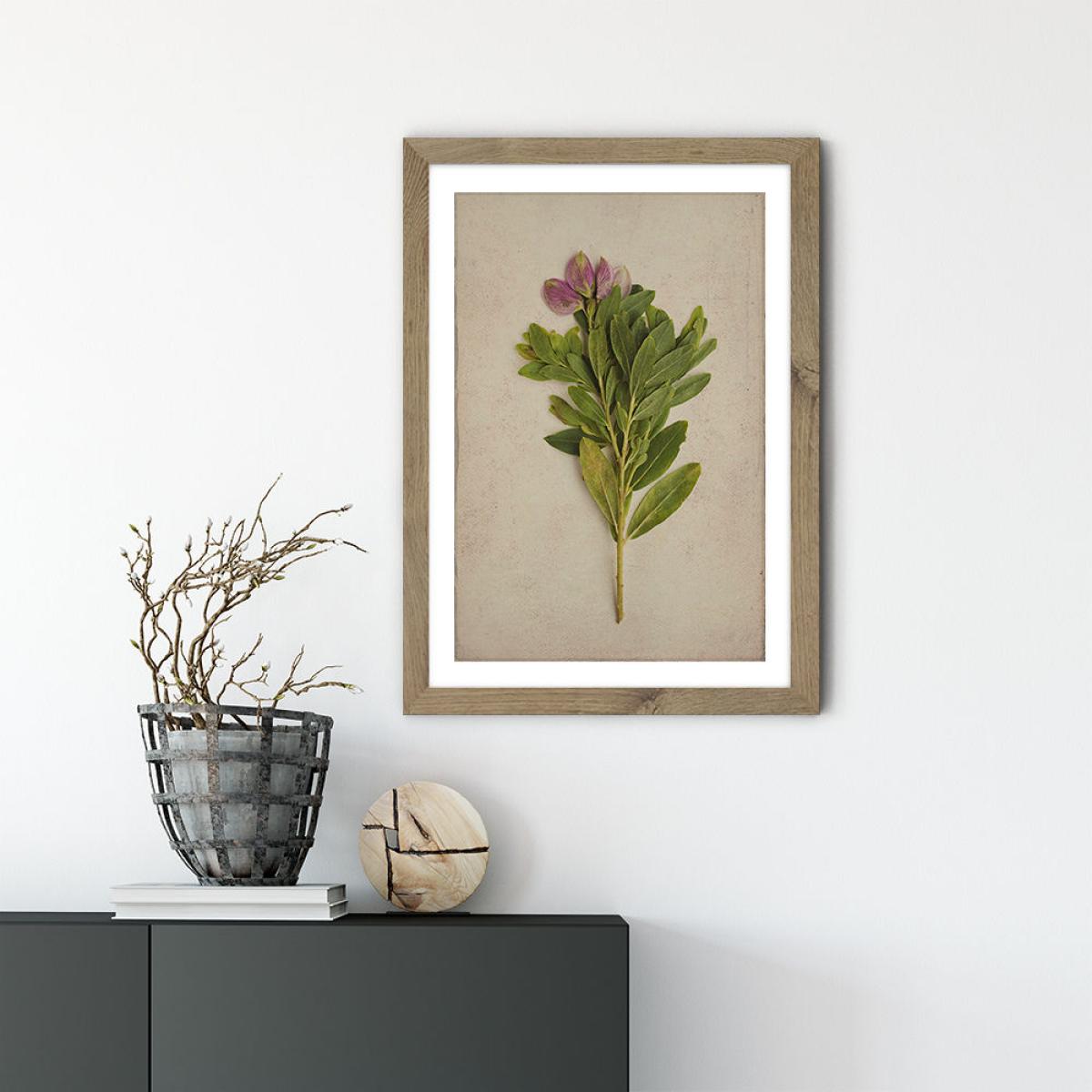 Fynbos 6 Art Print Oak Frame – image 2