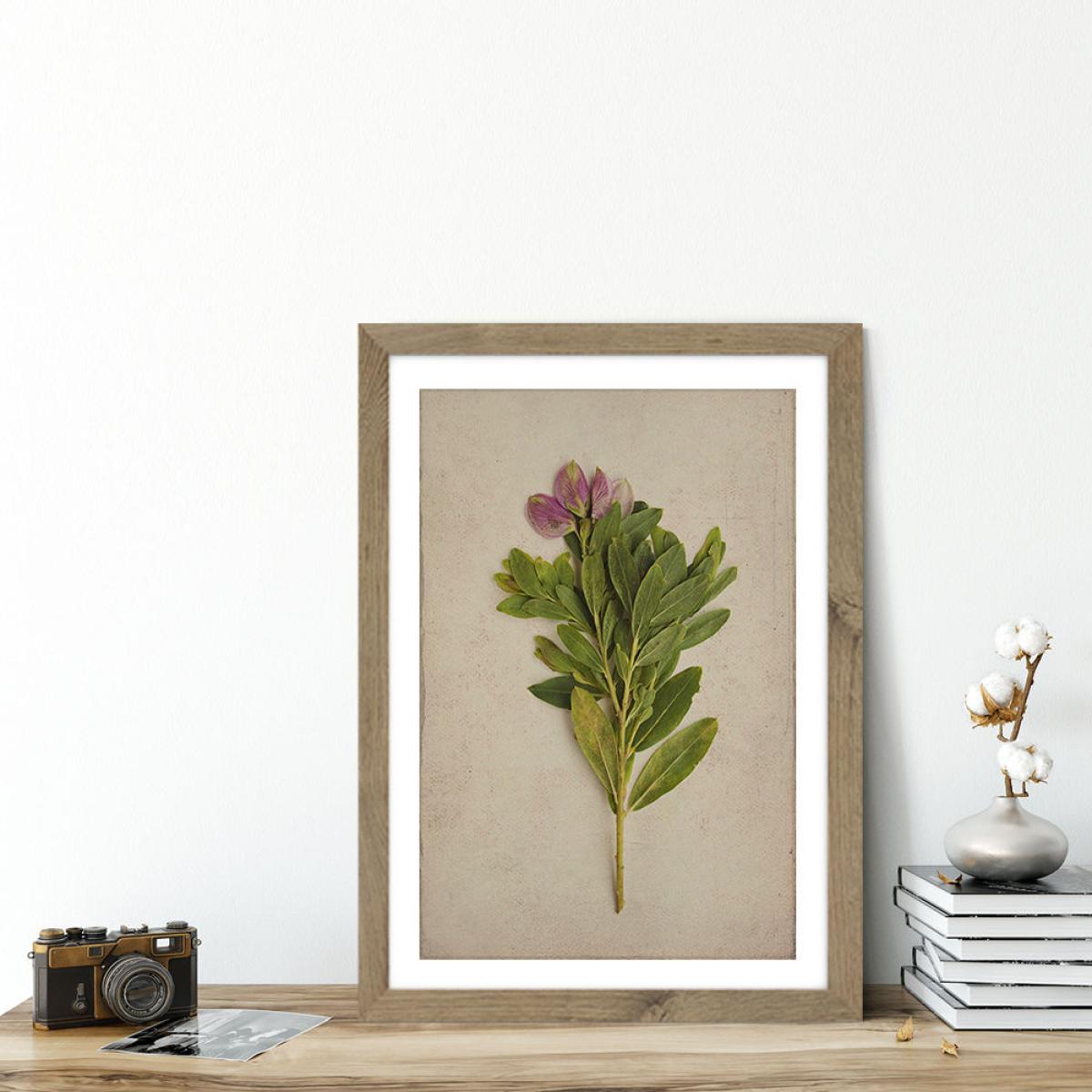Fynbos 6 Art Print Oak Frame – image 5