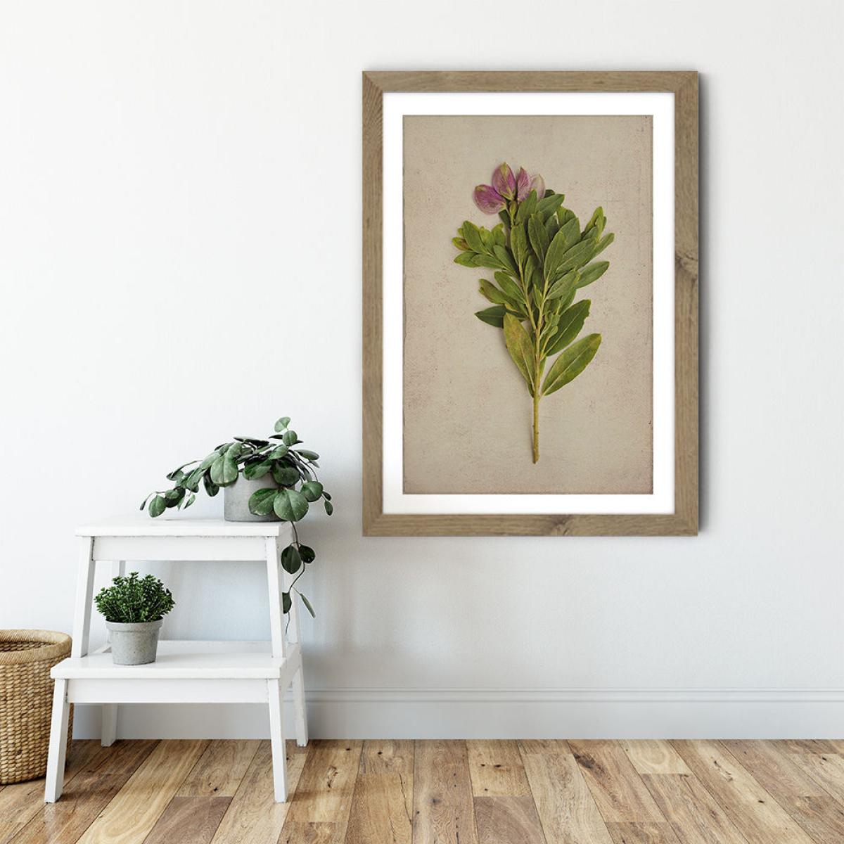 Fynbos 6 Art Print Oak Frame – image 6