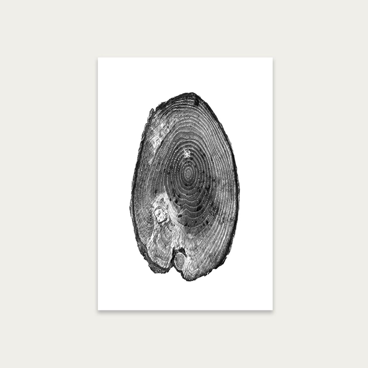Pine Set I Art Print Unframed