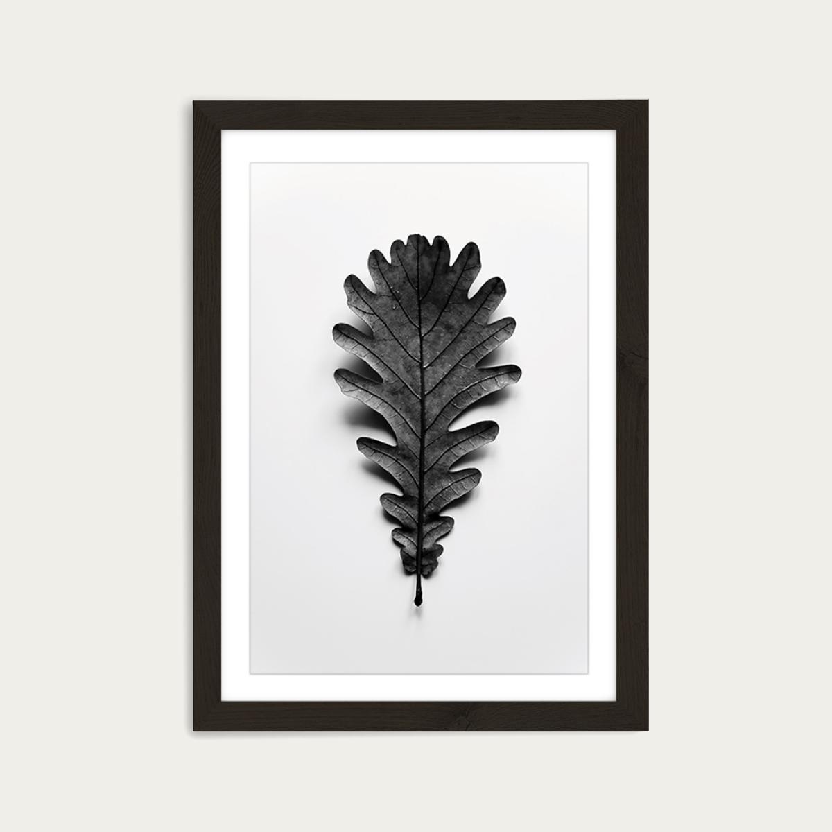 Autumn Treasures - Black Oak Leaf Art Print Black Frame