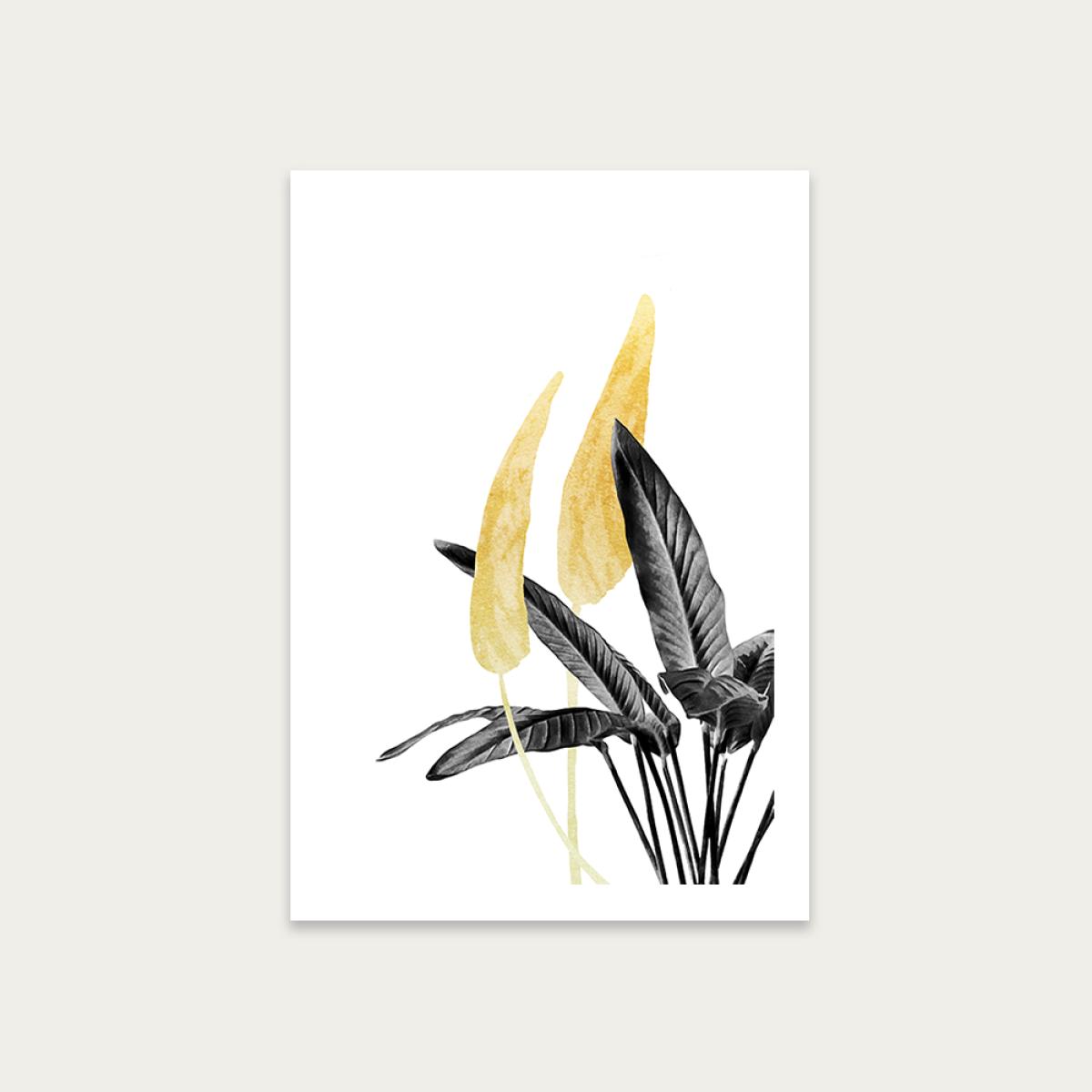 Bird of Paradise Plant Black White and Gold 1 Art Print Unframed
