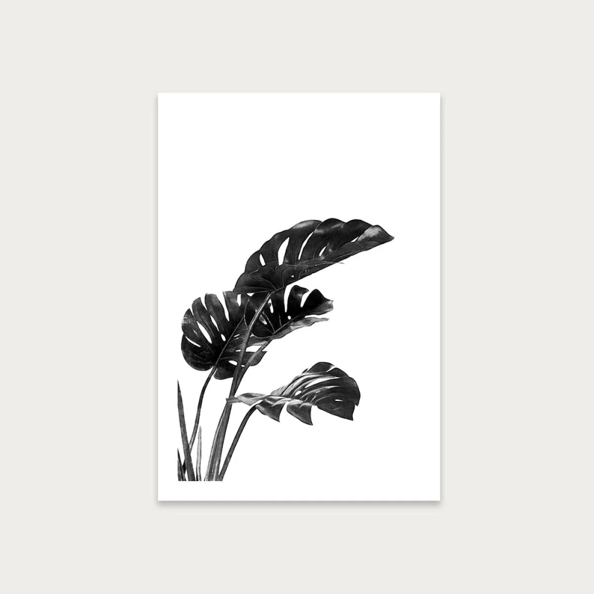 Monstera Black and White 3 Art Print Unframed