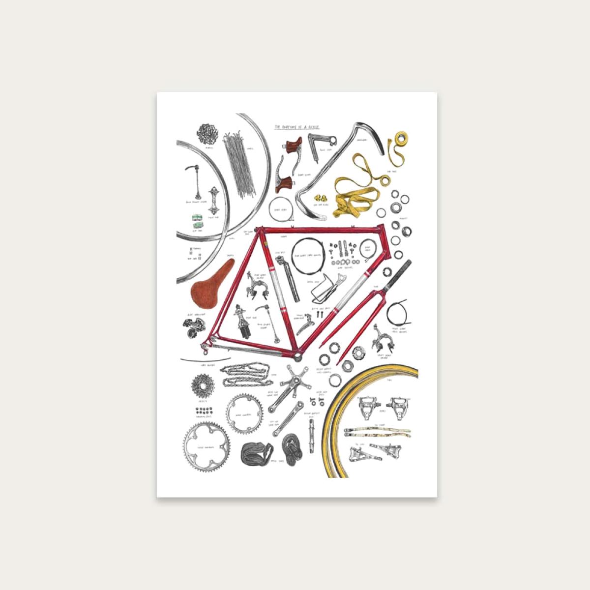 Unframed Anatomy Of A Bicycle Art Print