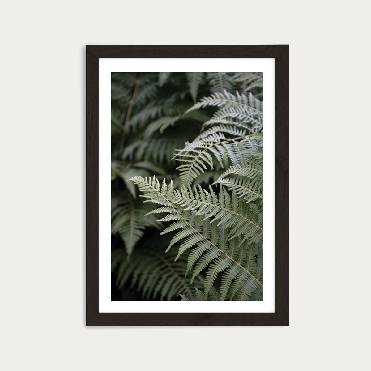 Forest Mood Art Print Black Frame – image 1