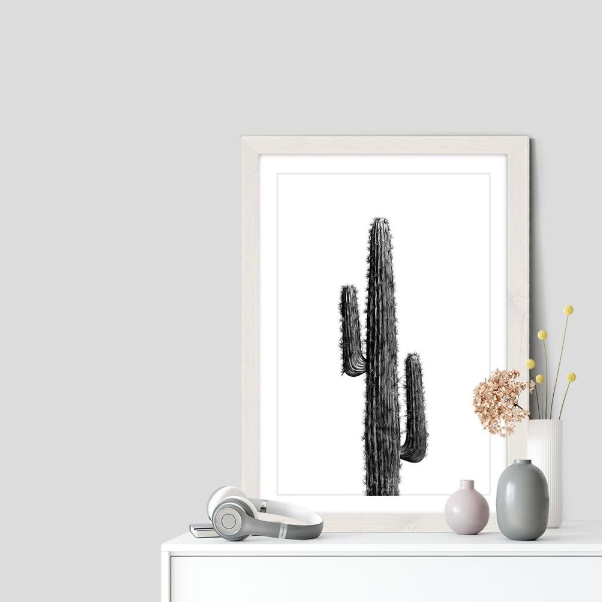 Cactus Black and White 1 Art Print White Frame – image 7