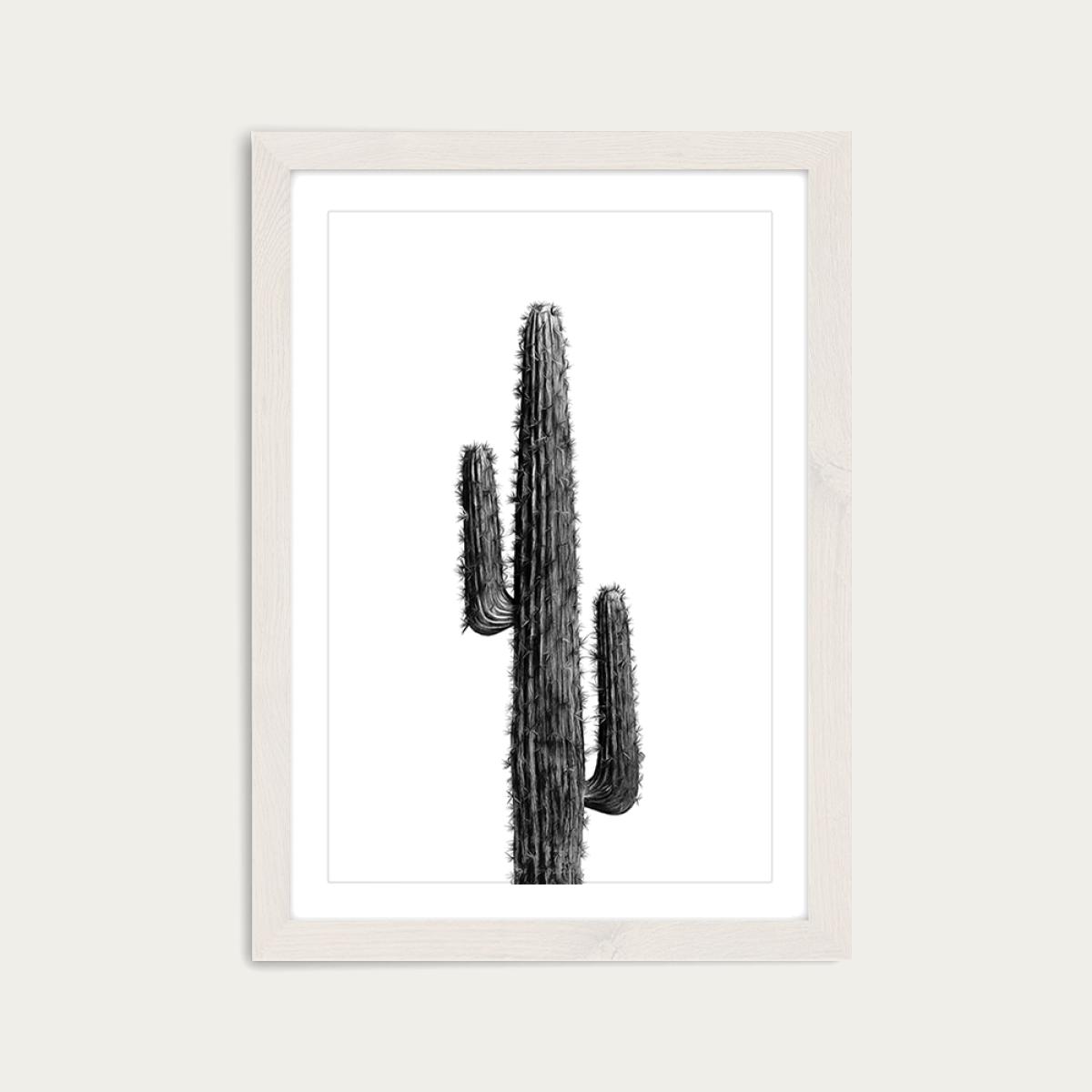 Cactus Black and White 1 Art Print White Frame – image 1