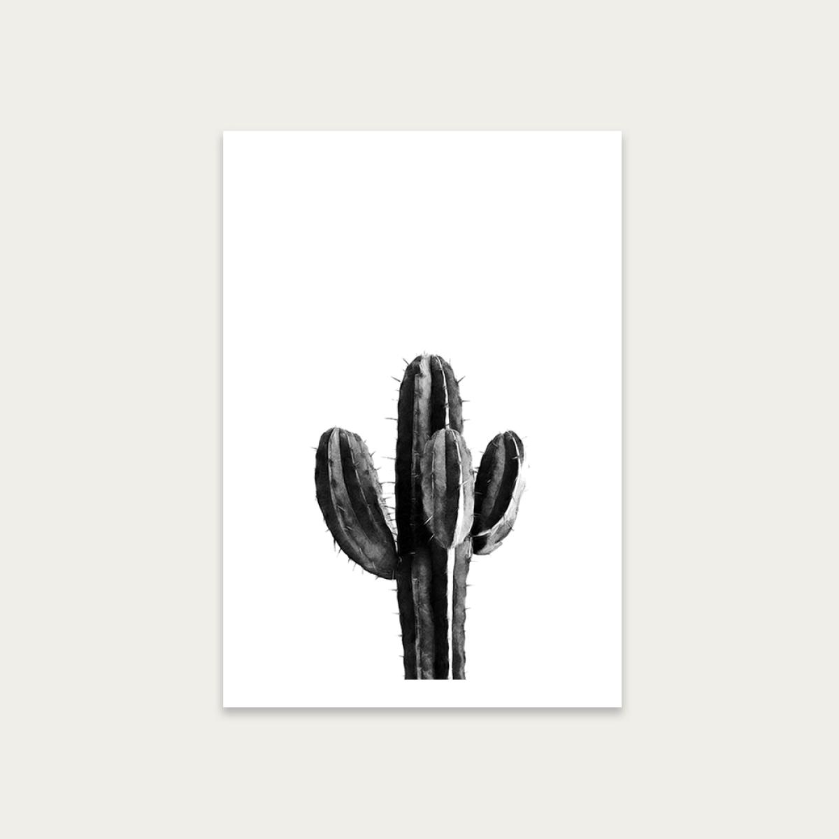Cactus Black and White 3 Art Print Unframed