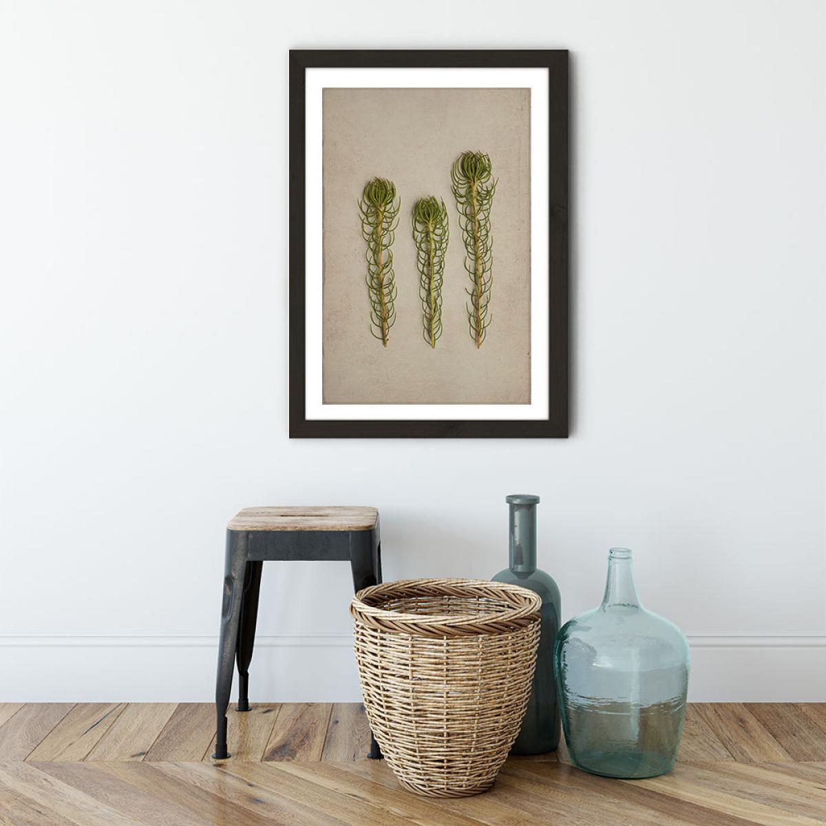 Fynbos 5 Art Print Black Frame – image 4