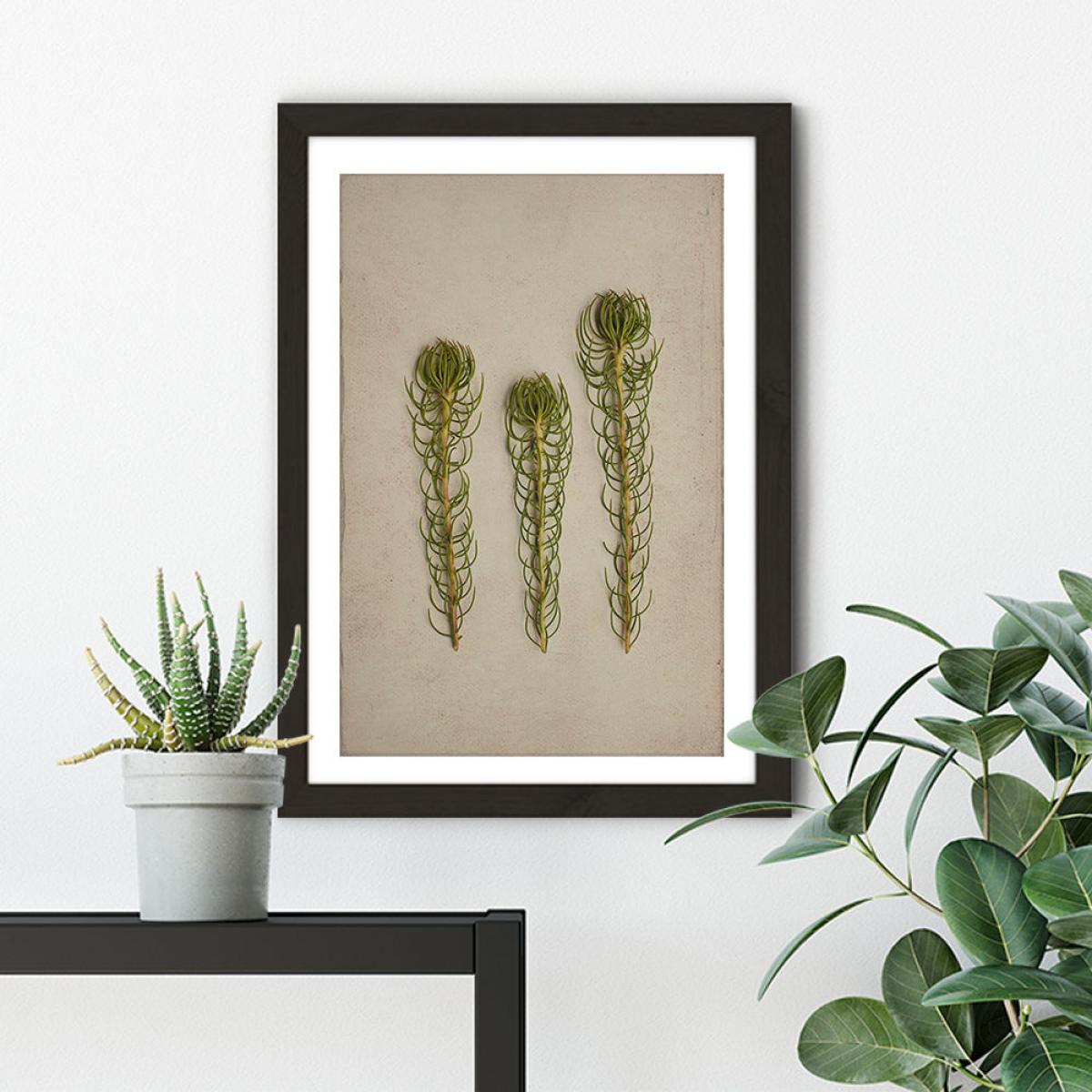 Fynbos 5 Art Print Black Frame – image 5