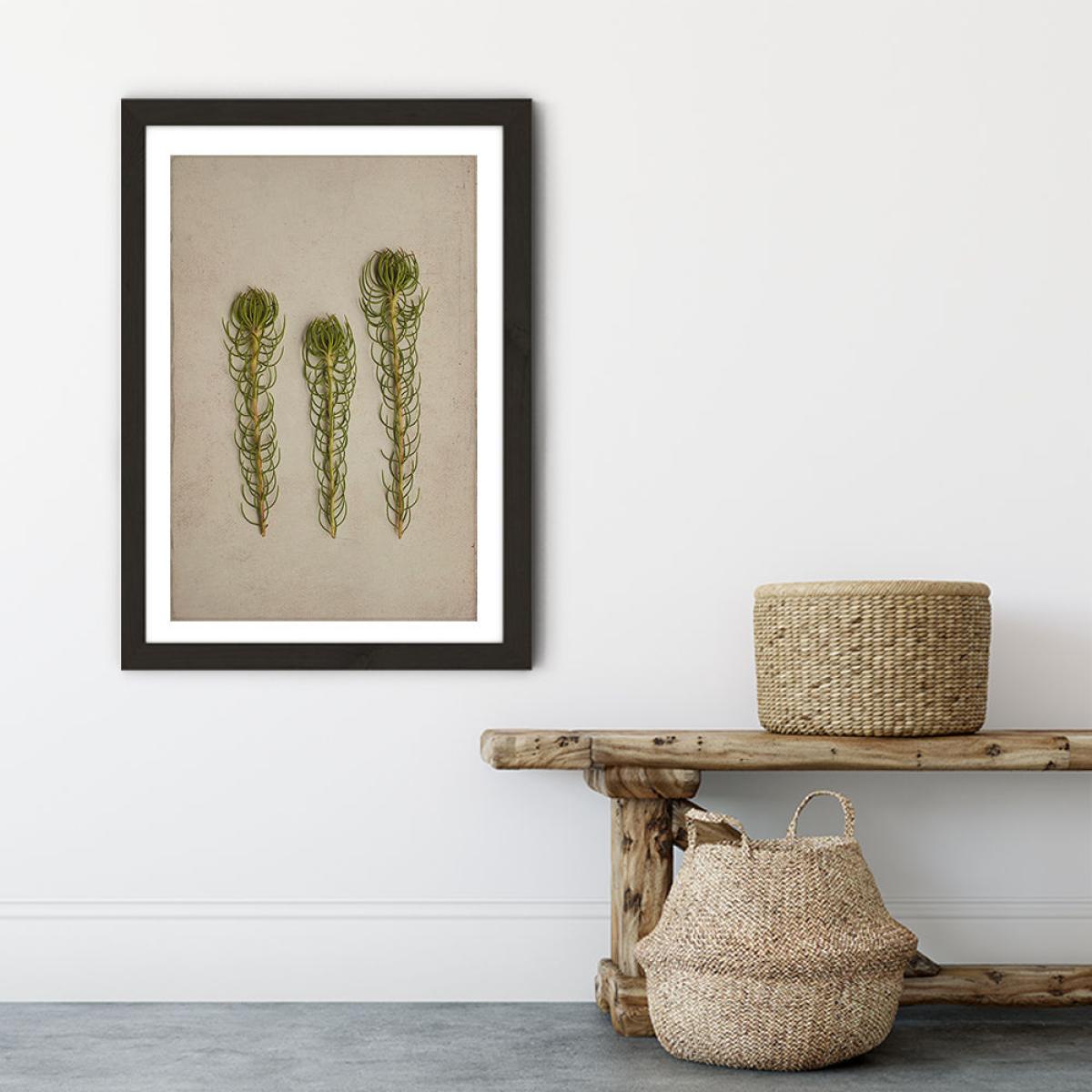 Fynbos 5 Art Print Black Frame – image 6