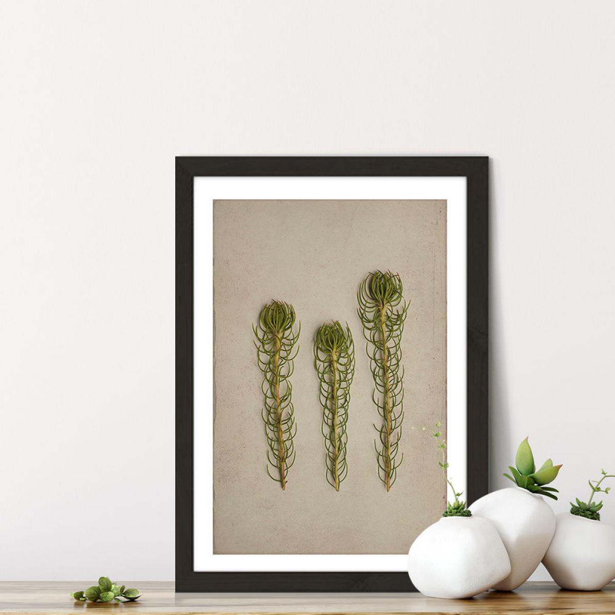 Fynbos 5 Art Print Black Frame – image 7