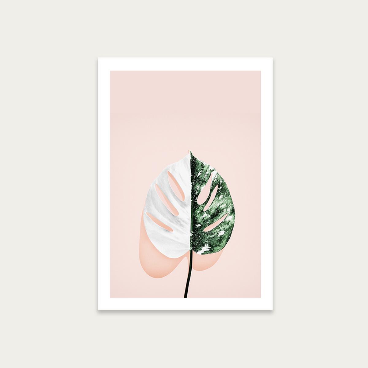Solo No. 1 Art Print Unframed
