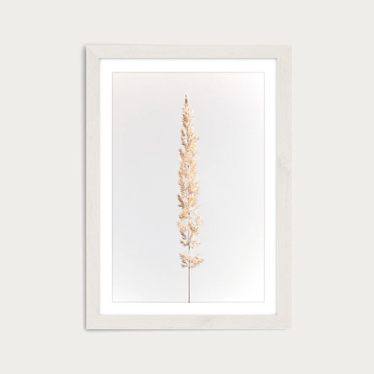 Minimal Pampas Grass on White Art Print White Frame