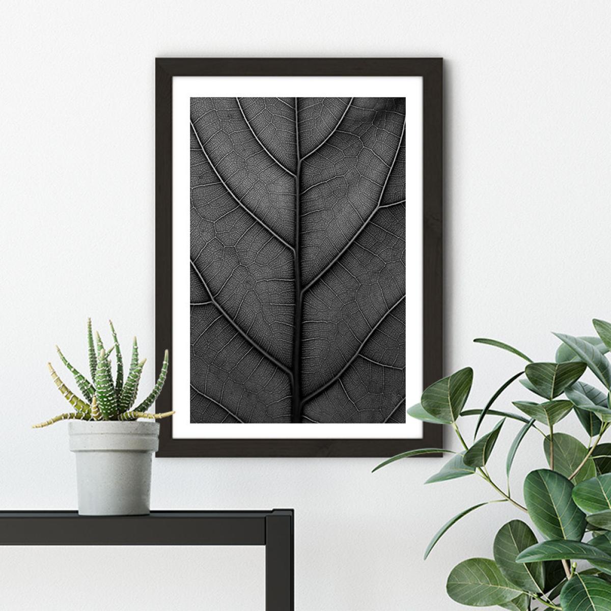 Black Leaf - Fiddle Leaf Fig Tree Art Print Black Frame – image 5