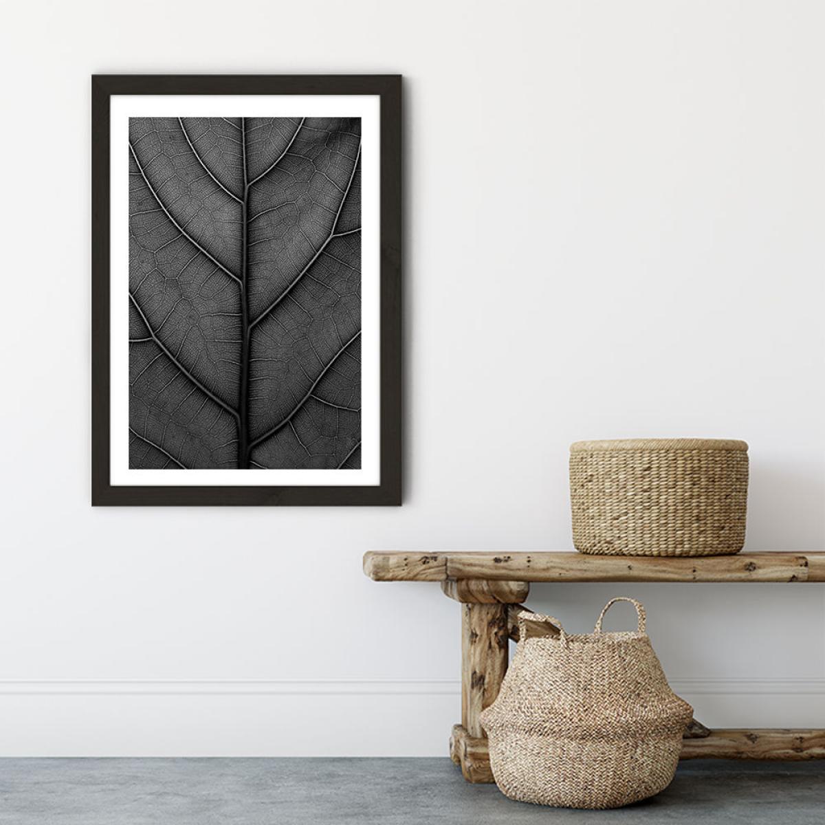 Black Leaf - Fiddle Leaf Fig Tree Art Print Black Frame – image 6