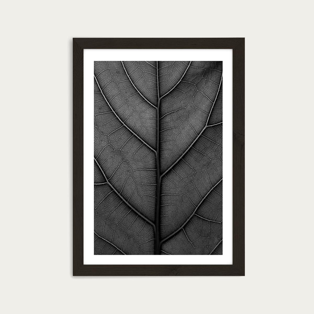 Black Leaf - Fiddle Leaf Fig Tree Art Print Black Frame – image 1