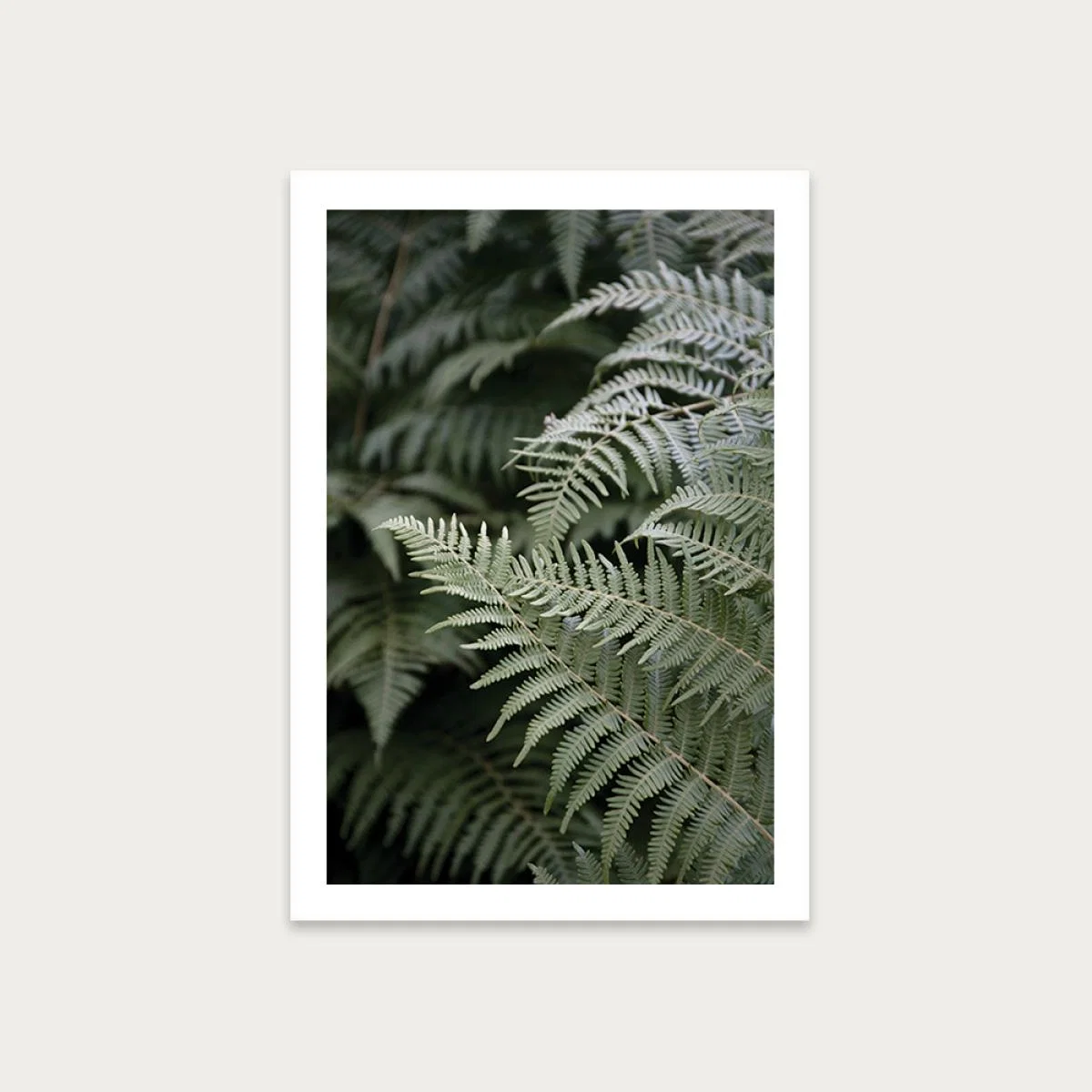 Forest Mood Art Print Unframed