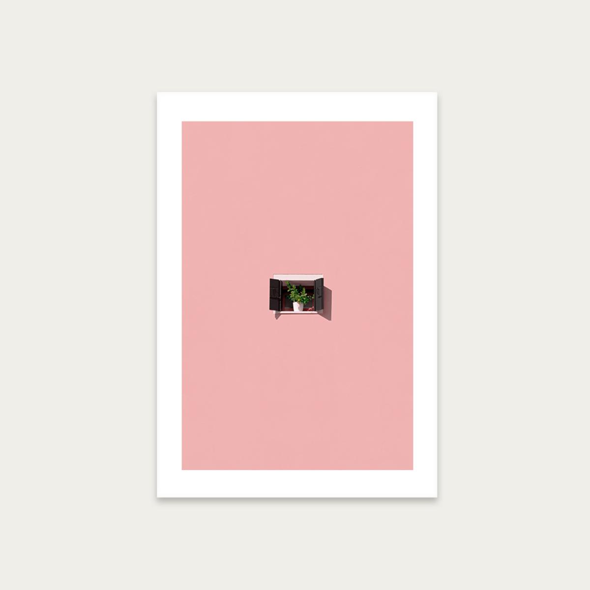 Photosynthesis Art Print Unframed