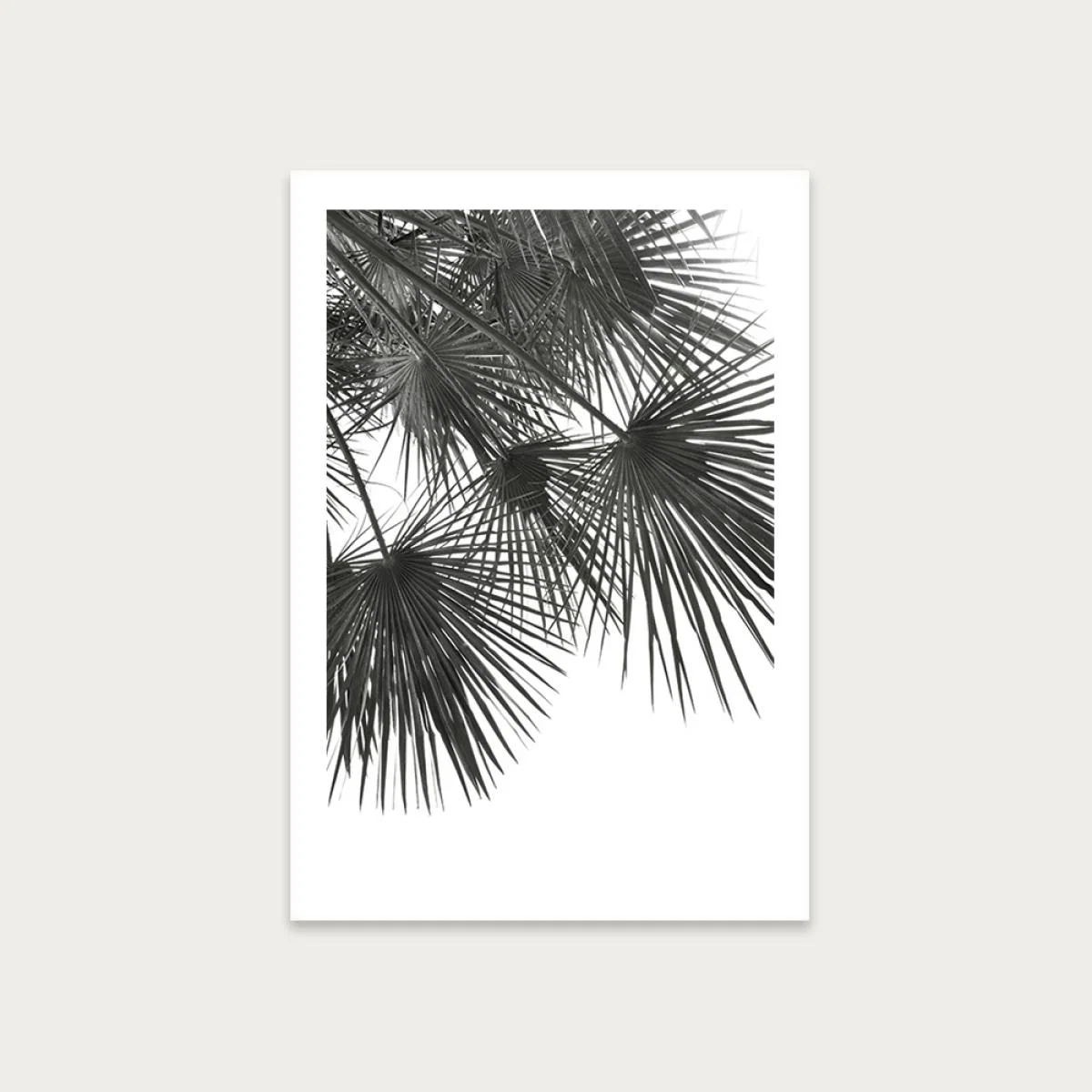 Endless Summer – Wind Art Print Unframed