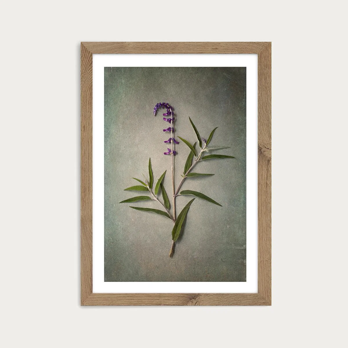 Foraged 4 Art Print Oak Frame – image 1
