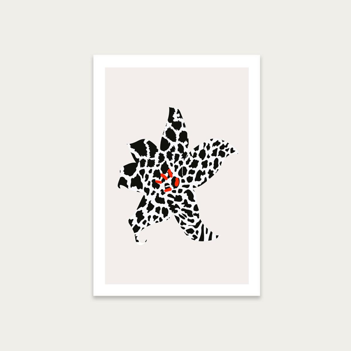 Zebra Blossom Art Print Unframed
