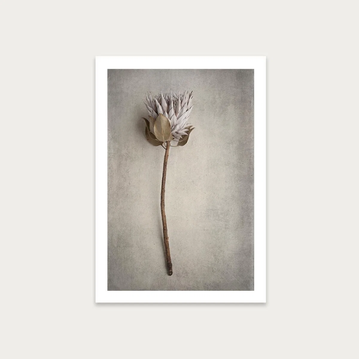 Everlasting 2 Art Print Unframed