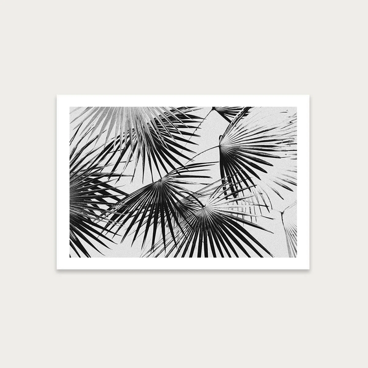 Tropical No. 5 Art Print Unframed