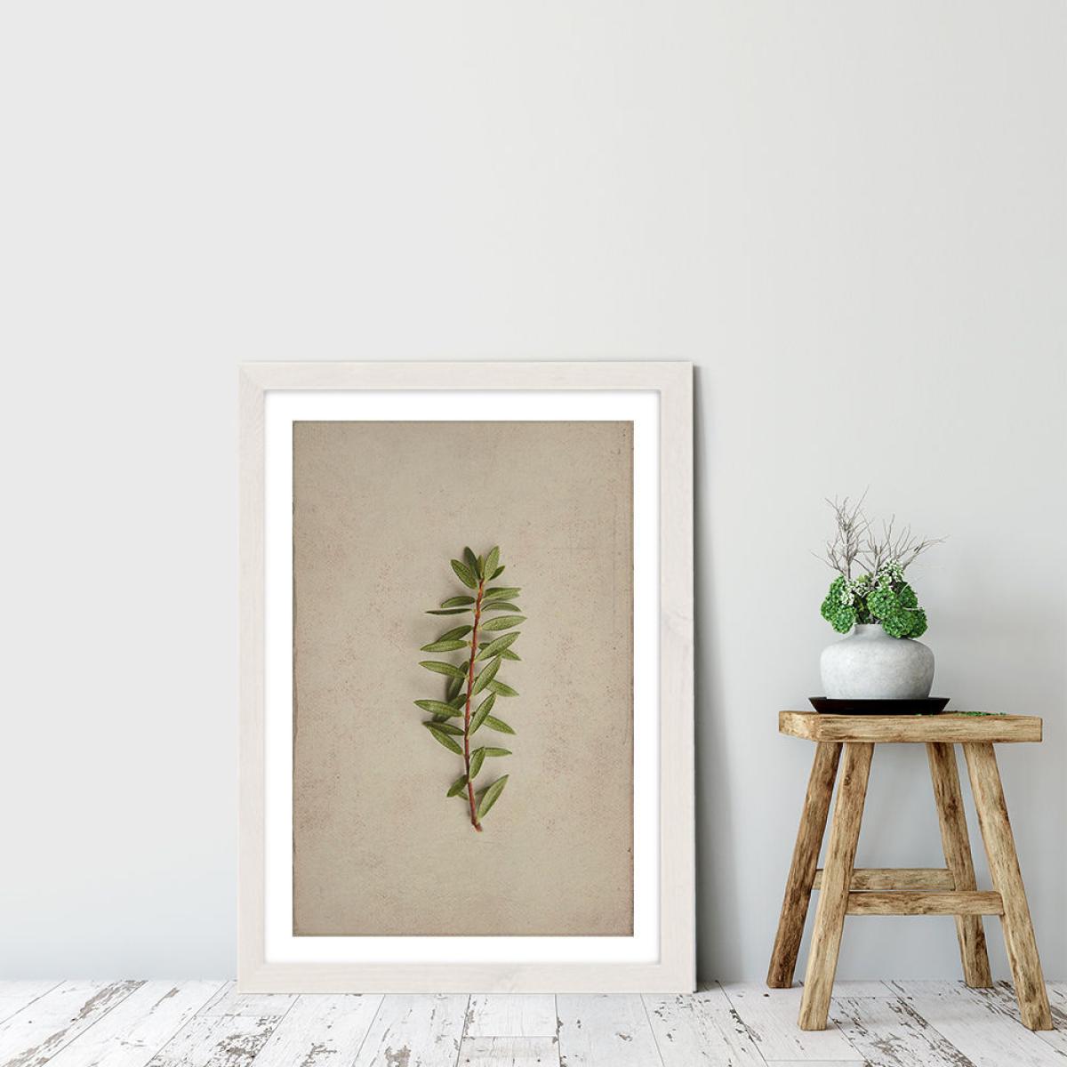 Fynbos 7 Art Print White Frame – image 6