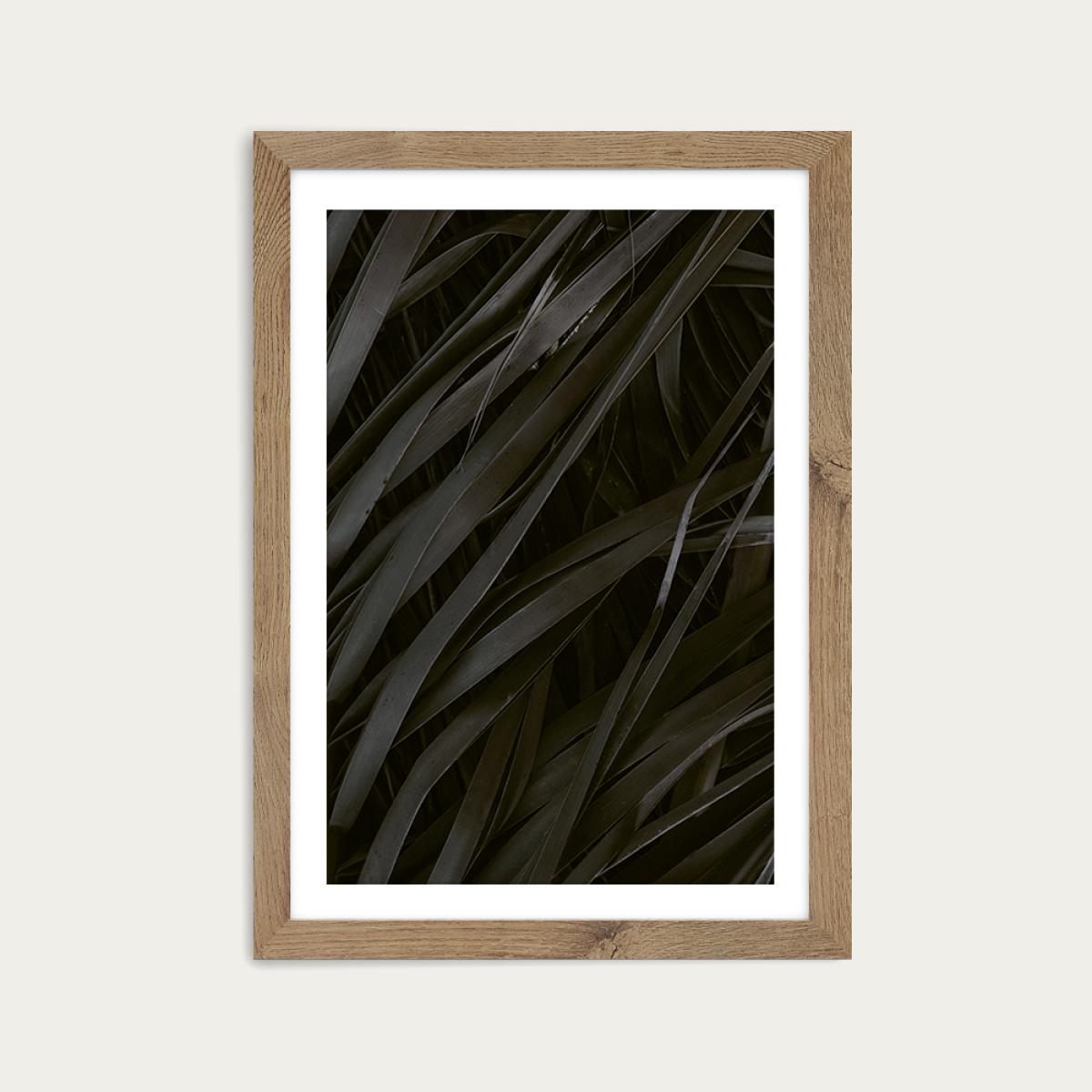 Black Palms Art Print Oak Frame – image 1
