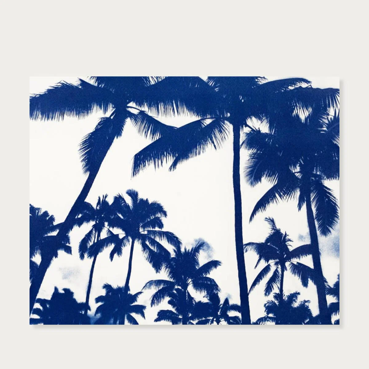 Acapulco Palm Sunset Handmade Cyanotype Art Print – image 5