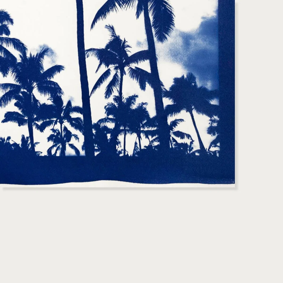 Acapulco Palm Sunset Handmade Cyanotype Art Print – image 7