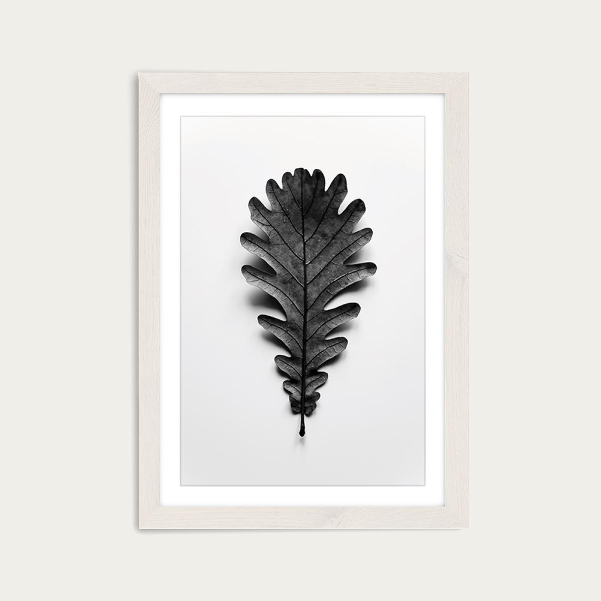 Autumn Treasures - Black Oak Leaf Art Print White Frame