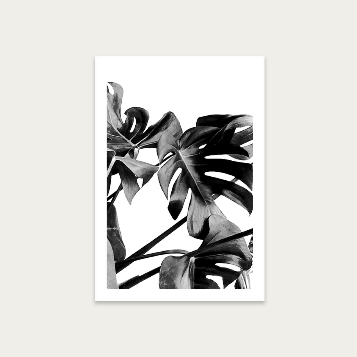 Monstera Black and White 6 Art Print Unframed