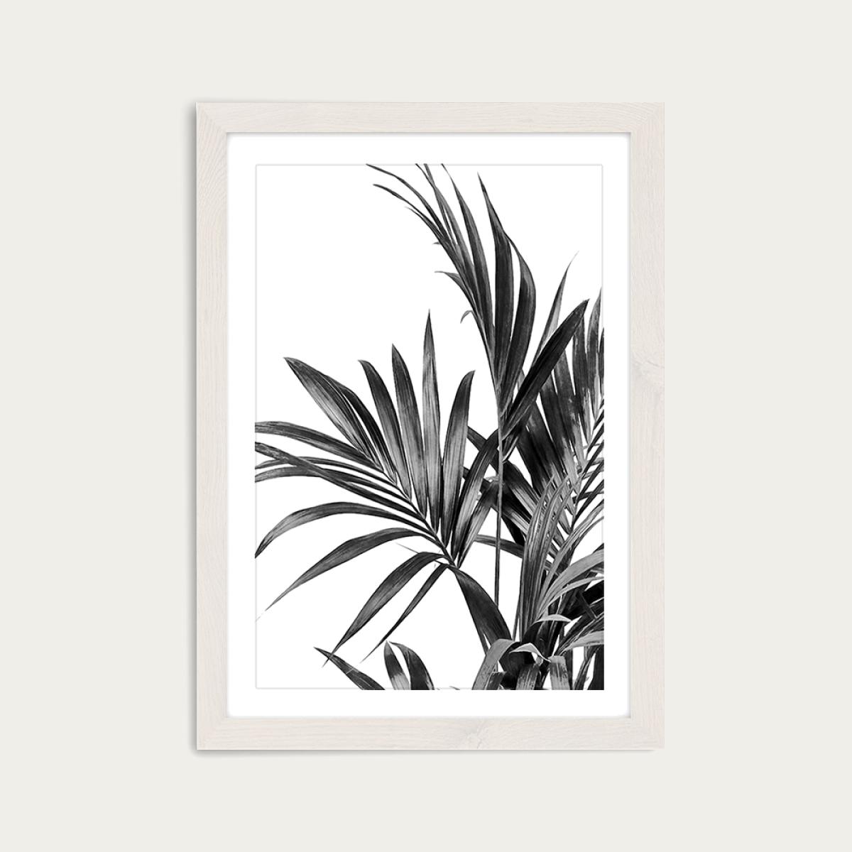Palm Leaves Black and White 1 Art Print White Frame – image 1