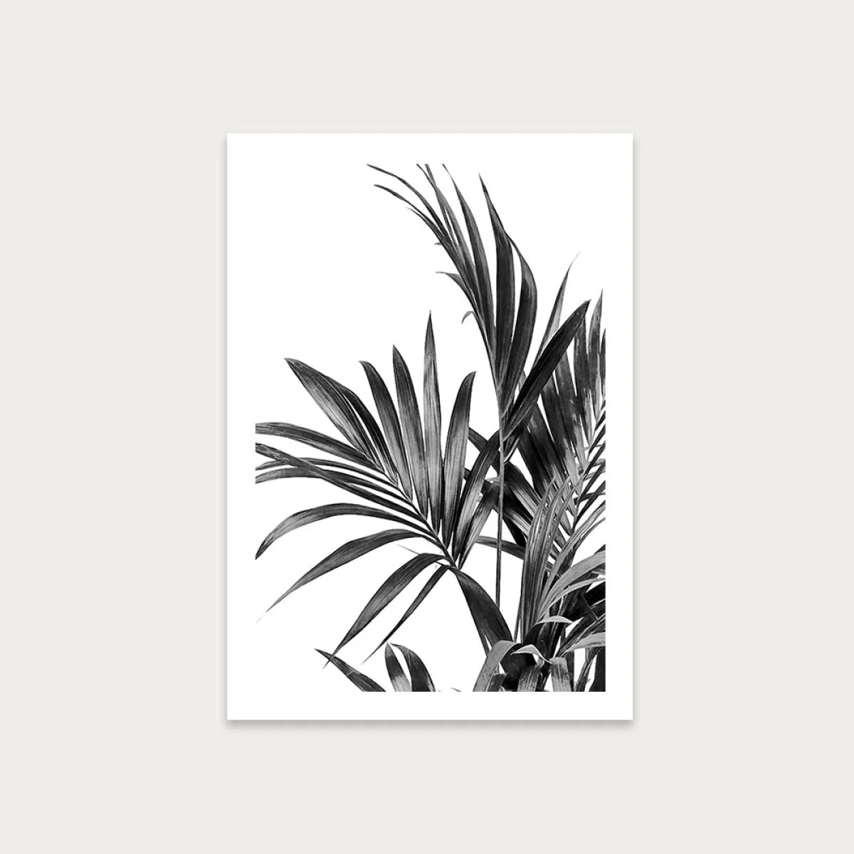 Palm Leaves Black and White 1 Art Print Unframed