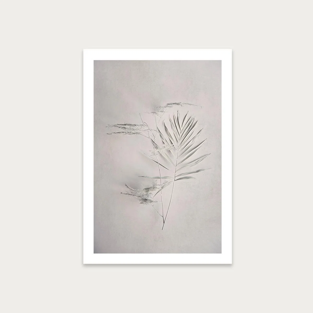 Alabaster Forest 6 Art Print Unframed