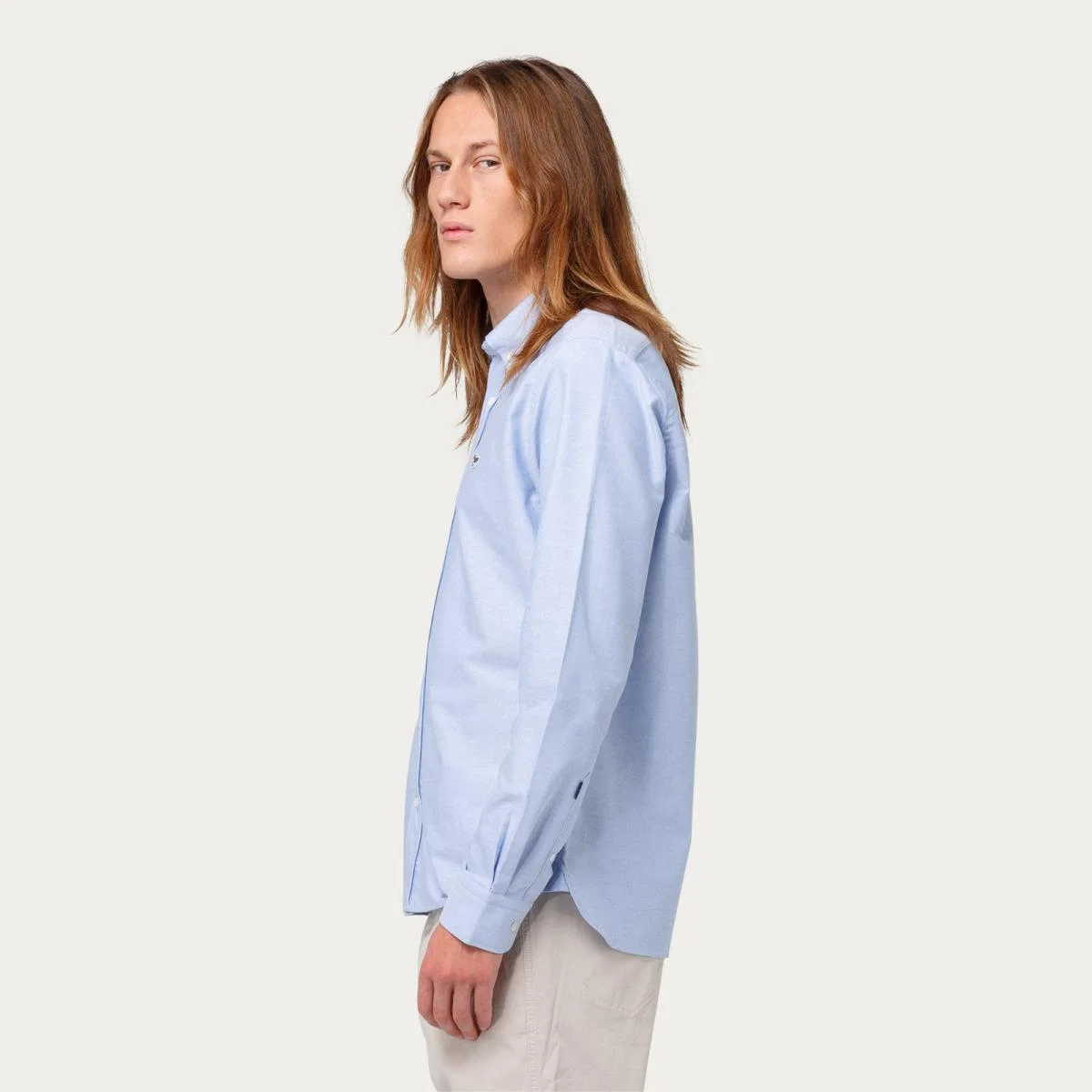 The Plain Light Blue Duck Button Down Shirt – image 5