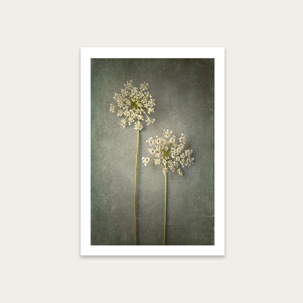 Foraged 3 Art Print Unframed